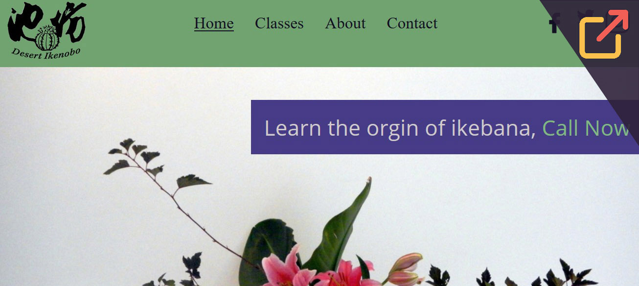 Project Desert Ikenobo