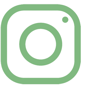 instagram icon