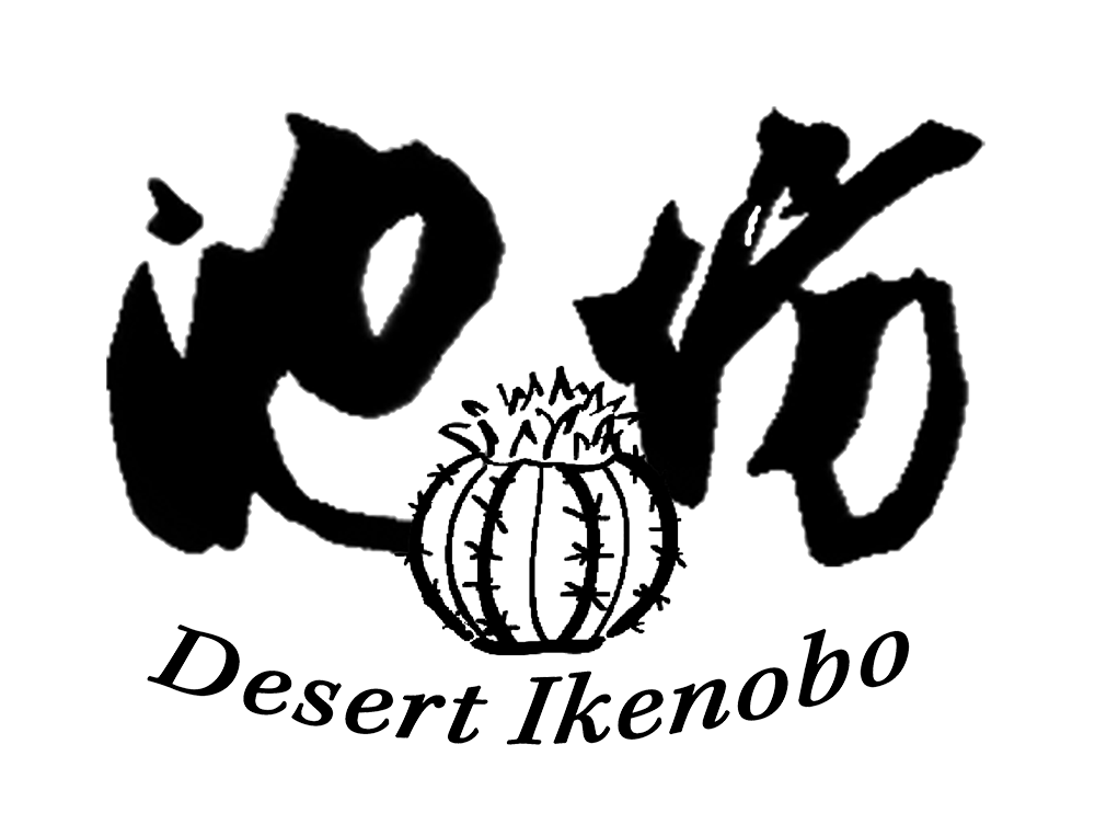 desert ikenobo logo